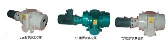 Roots vacuum pump